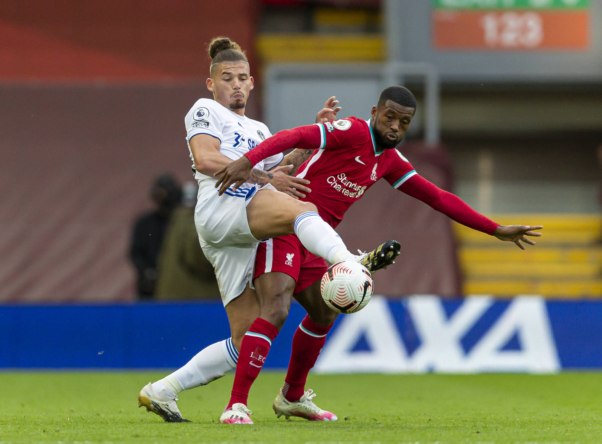 并不常见 并不常见